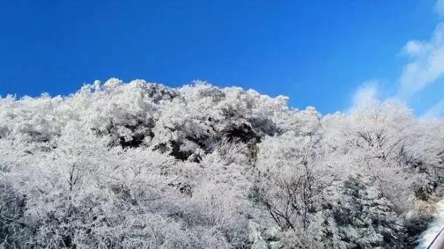 小蓝球向上跳