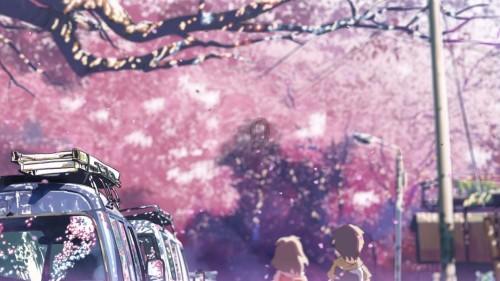 探秘冷知识 | 婚姻的意义到底是什么?分享平台