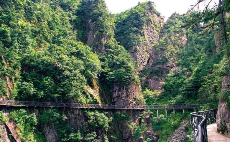 喜报!福建3项赛事荣获“世界级”认证!