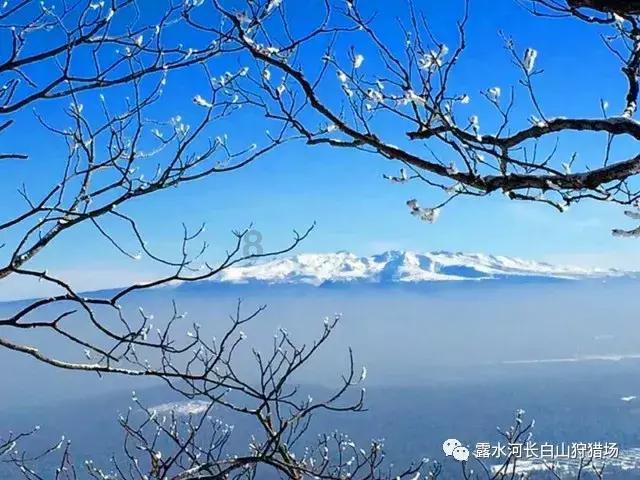 幻想三国4