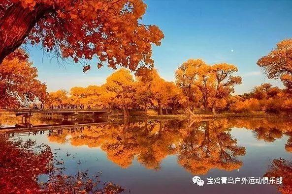 广州金融贷“逐绿向实”