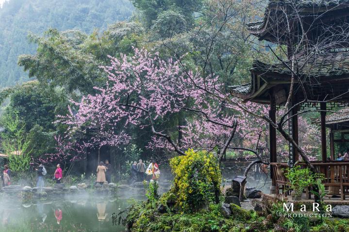 朋友用我的银行卡代收工资，这种操作存在风险吗？游戏画面