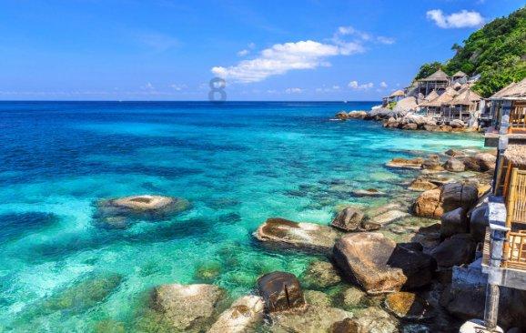 “交换冬天”!近300名越南旅行商乐游南宁为越南游客踩线