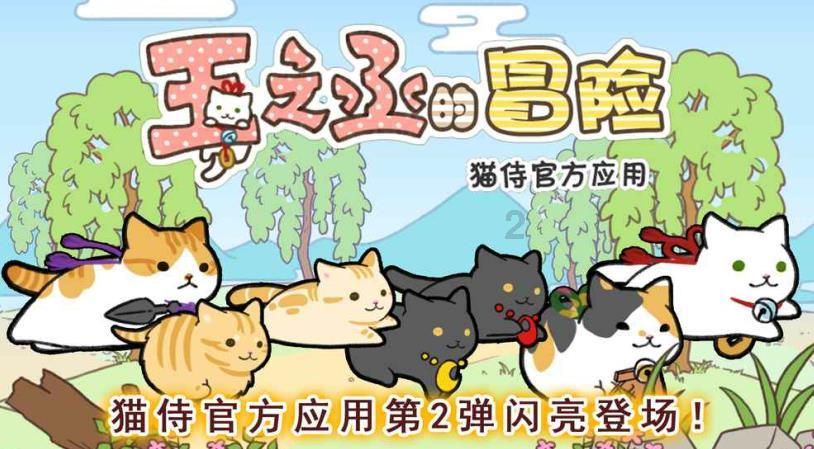 在宁波除了相亲还有什么脱单方法吗？