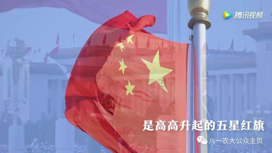 逗小猴开心系列178