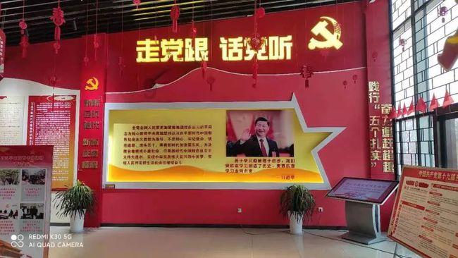 可爱猫咪救援