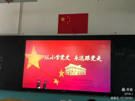 救援七星瓢虫