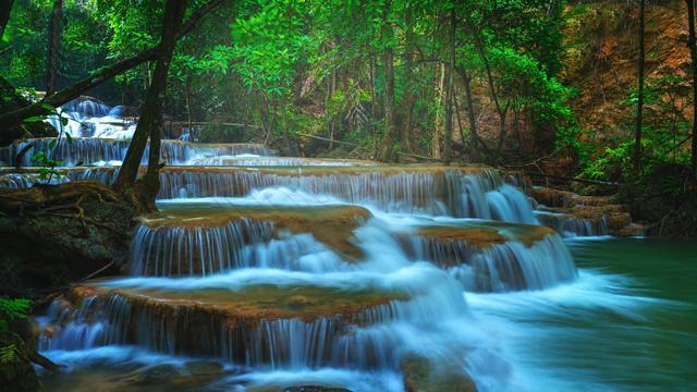 水莲怎么种植方法游戏画面