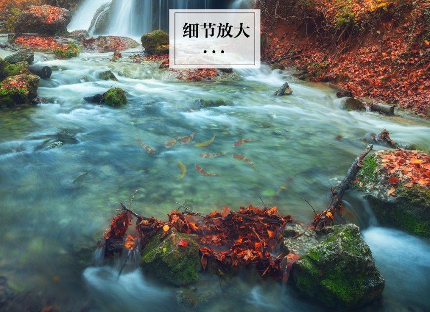 幻想森林逃生