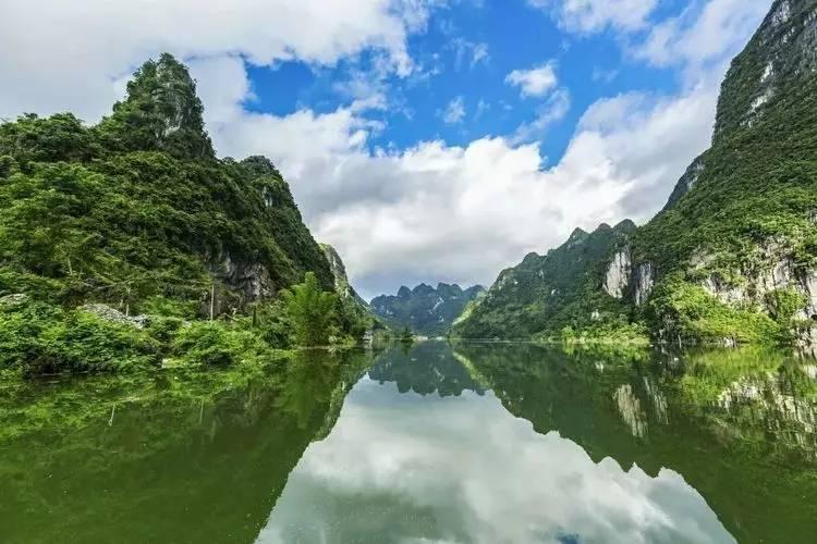 100种花的寓意和花语游戏画面