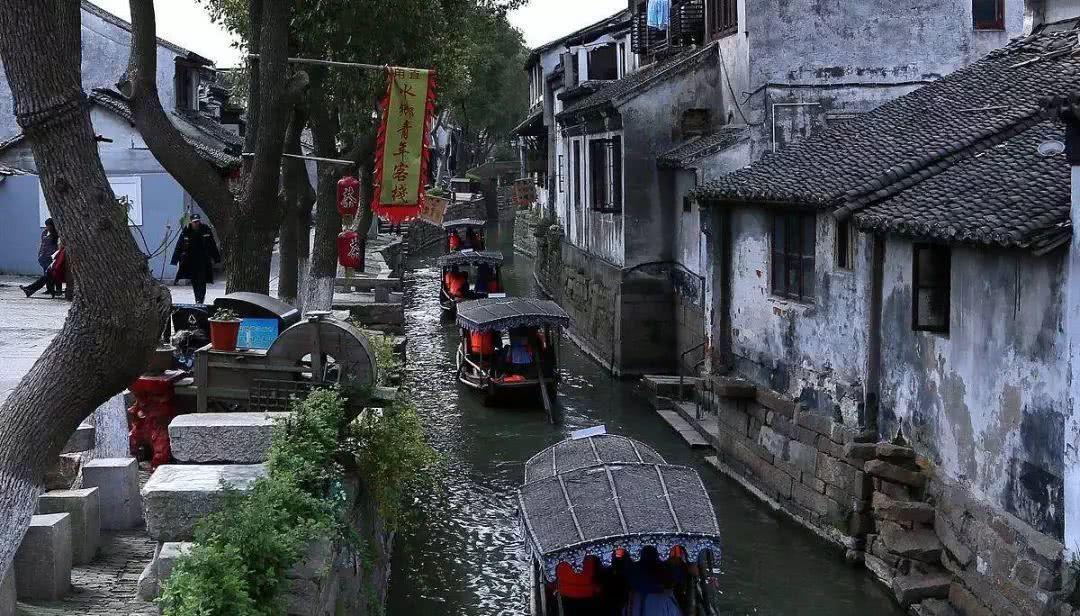 营救小乌龟