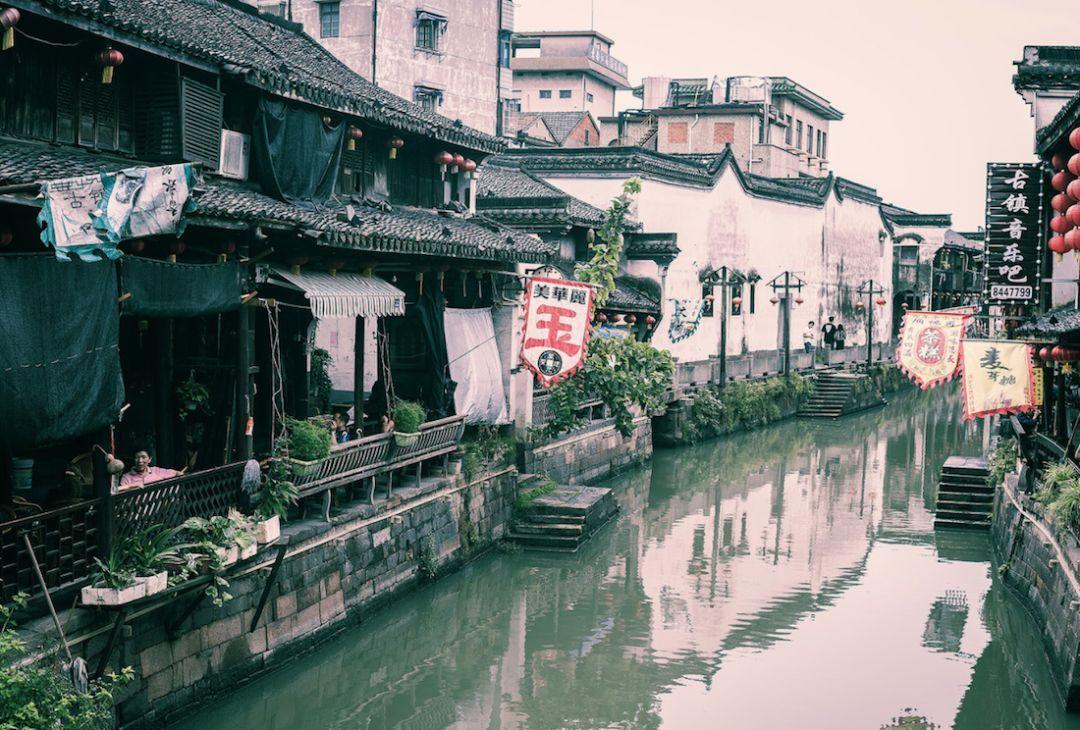 团体标准丨水洗羽绒羽毛(净绒)行情(2024.1.19)Price of washed down and feather