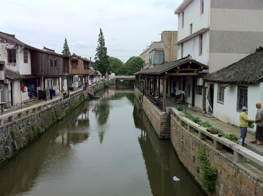 逃离泰莱森林