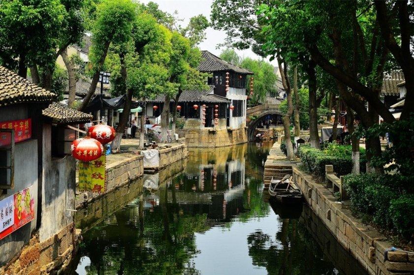 植物大战僵尸8