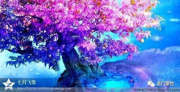 逃离老旧温泉社